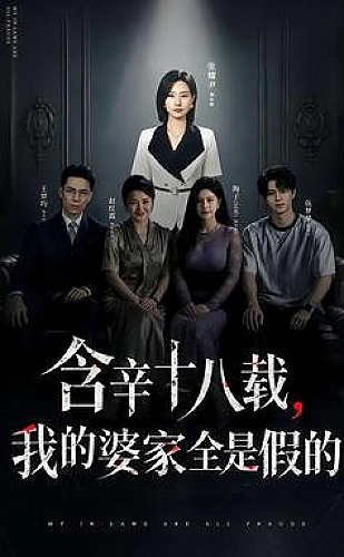 含辛十八载，我的婆家全是假的海报